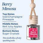 Fruity 4 Pack Scented Hanging Refillable Car Freshener Diffusers Bundle