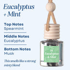 Eucalyptus & Mint Scented Hanging Refillable Car Freshener Diffuser