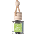 Sage Citrus Scented Hanging Refillable Car Freshener Diffuser
