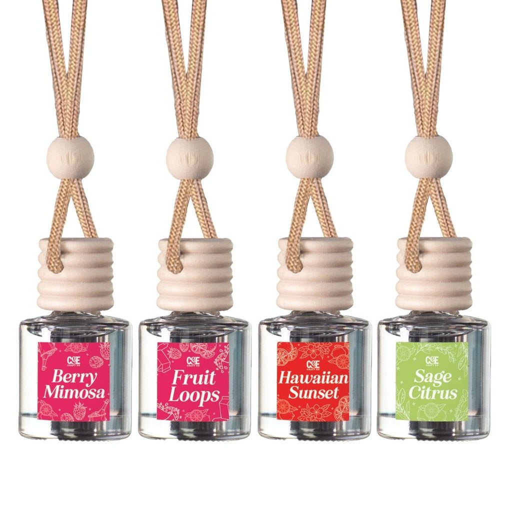 Fruity 4 Pack Scented Hanging Refillable Car Freshener Diffusers Bundle