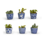 Hand-Painted Porcelain Mini Blue & White Chinoiserie Cachepots— Select Your Design