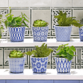 Handmade Rustic Blue & White Patterned Terracotta Pot with Crackle Finish — Select Your Design