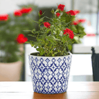 Handmade Rustic Blue & White Patterned Terracotta Pot with Crackle Finish — Select Your Design