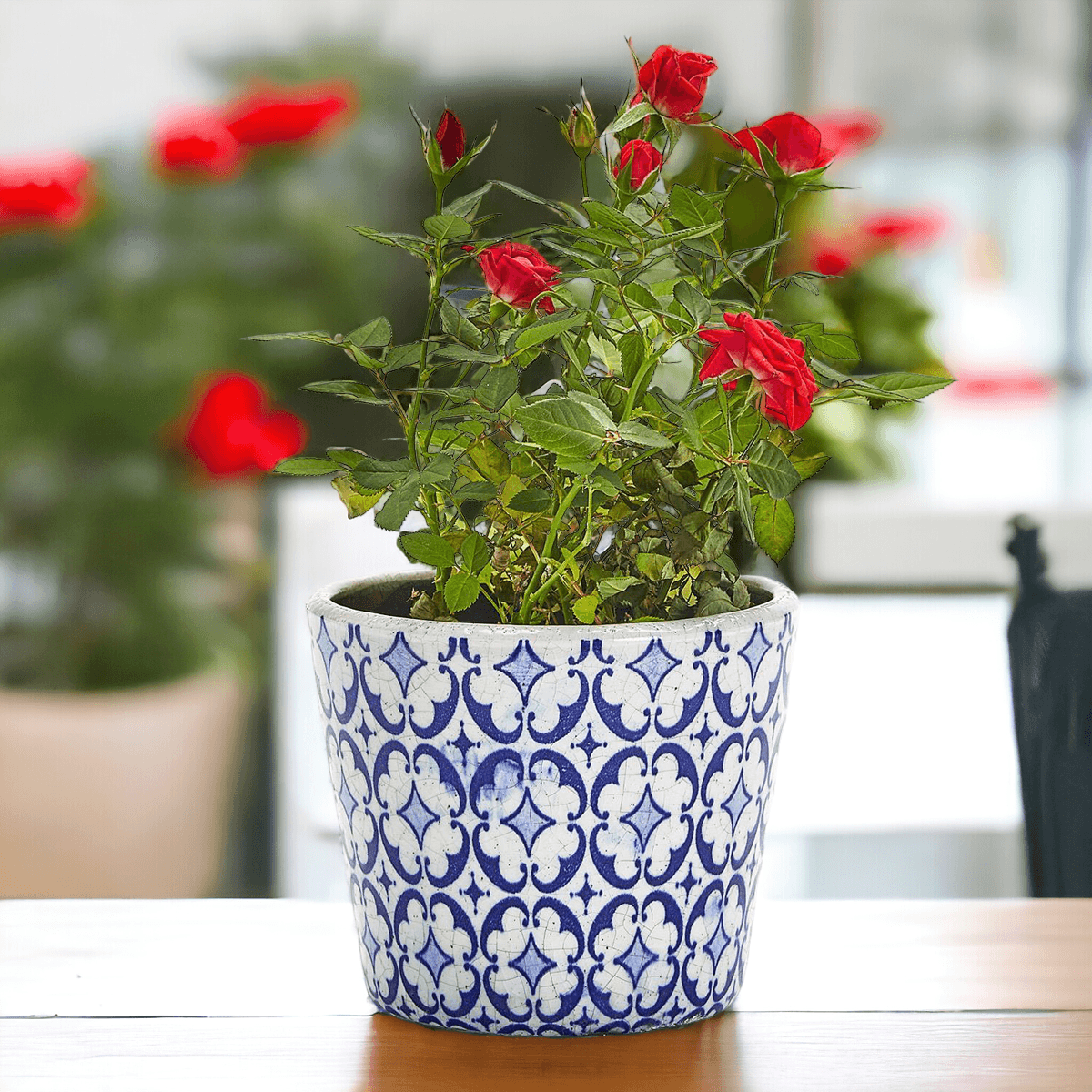 Handmade Rustic Blue & White Patterned Terracotta Pot with Crackle Finish — Select Your Design