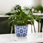 Handmade Rustic Blue & White Patterned Terracotta Pot with Crackle Finish — Select Your Design