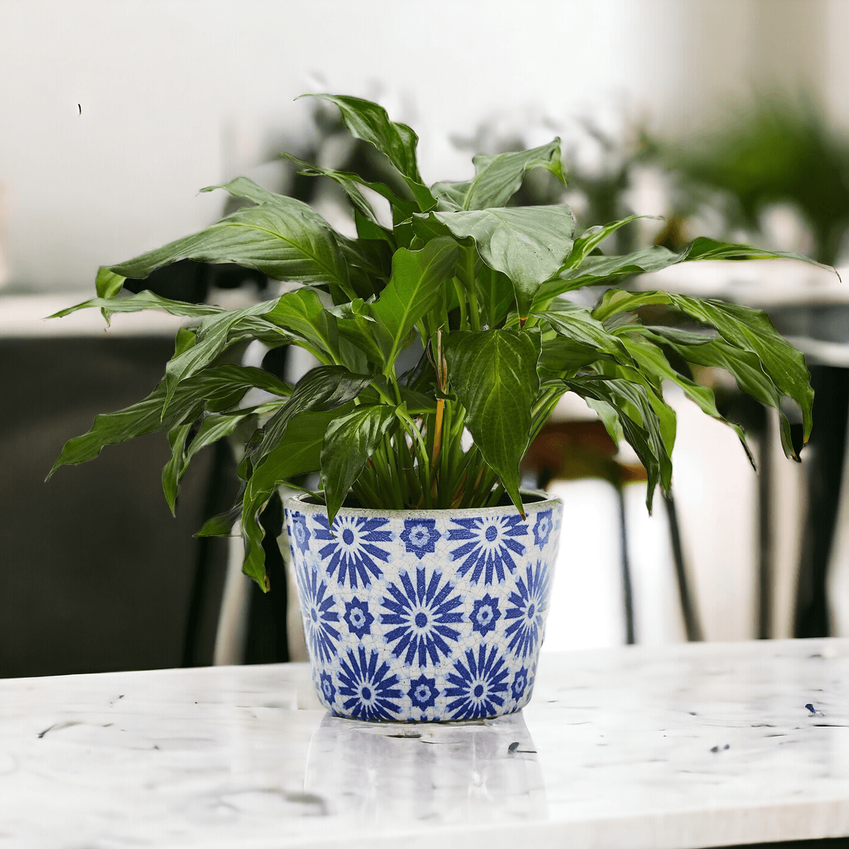 Handmade Rustic Blue & White Patterned Terracotta Pot with Crackle Finish — Select Your Design