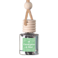 Eucalyptus & Mint Scented Hanging Refillable Car Freshener Diffuser
