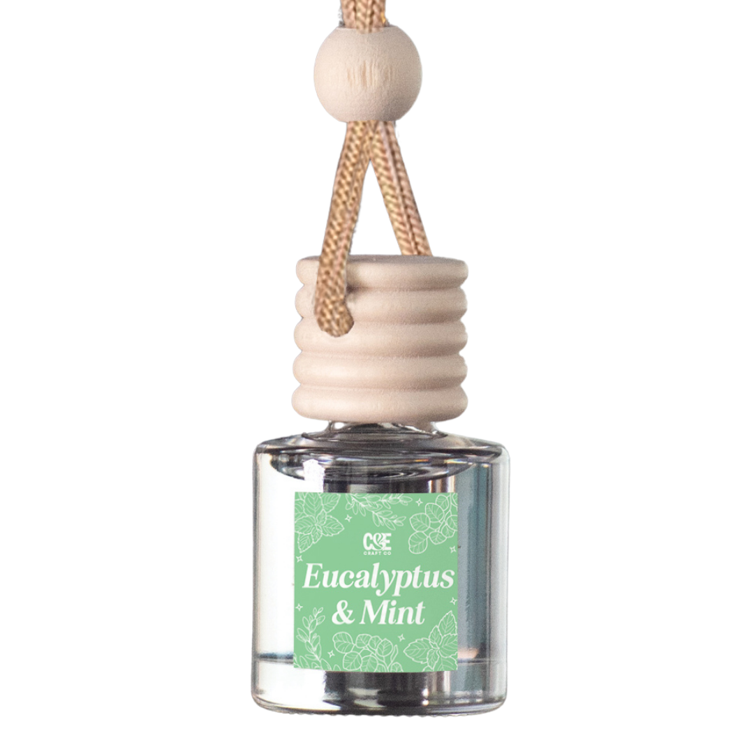 Eucalyptus & Mint Scented Hanging Refillable Car Freshener Diffuser