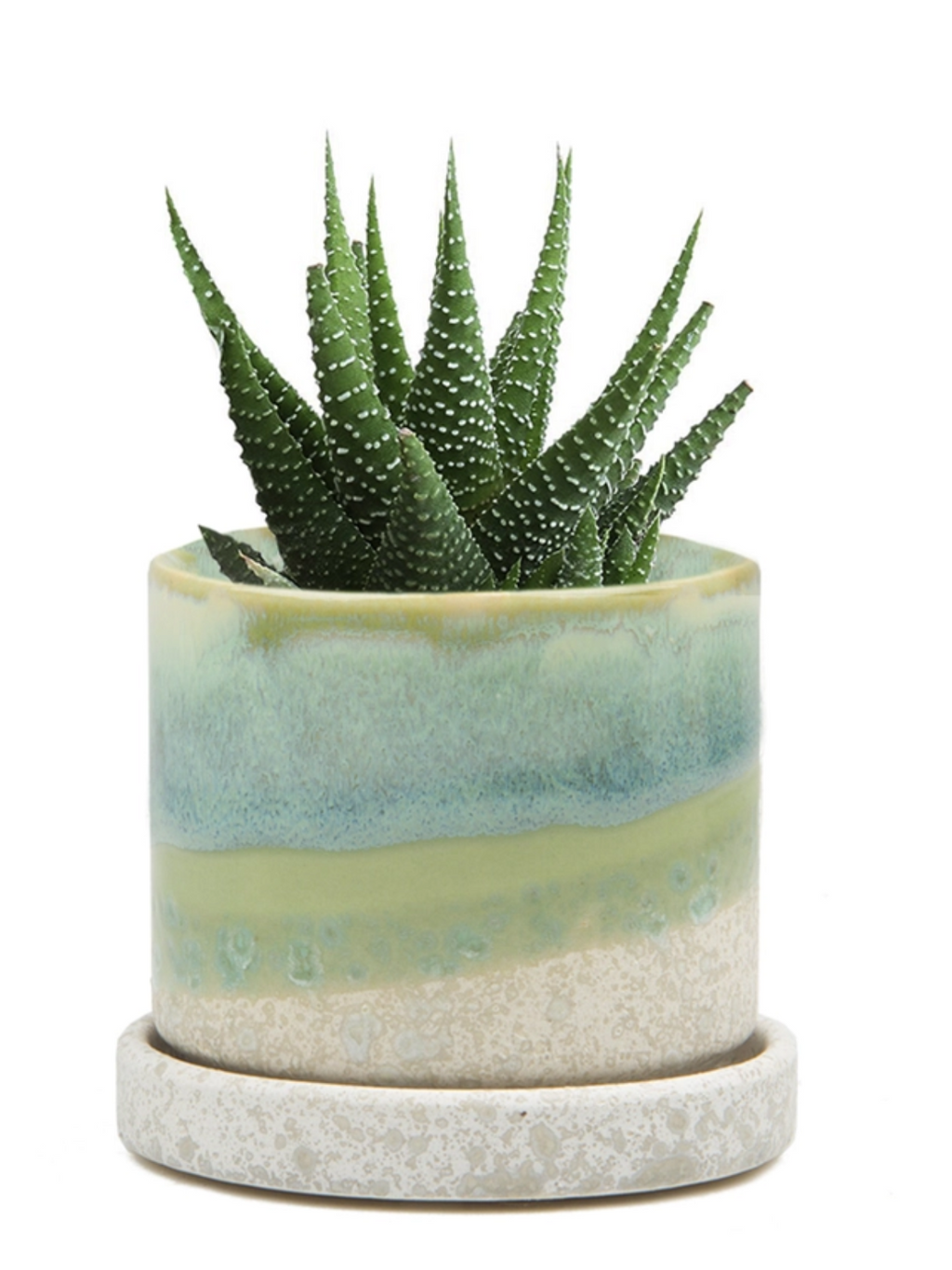 Cement Green Ceramic Plant Pot and Saucer — Select Your Size