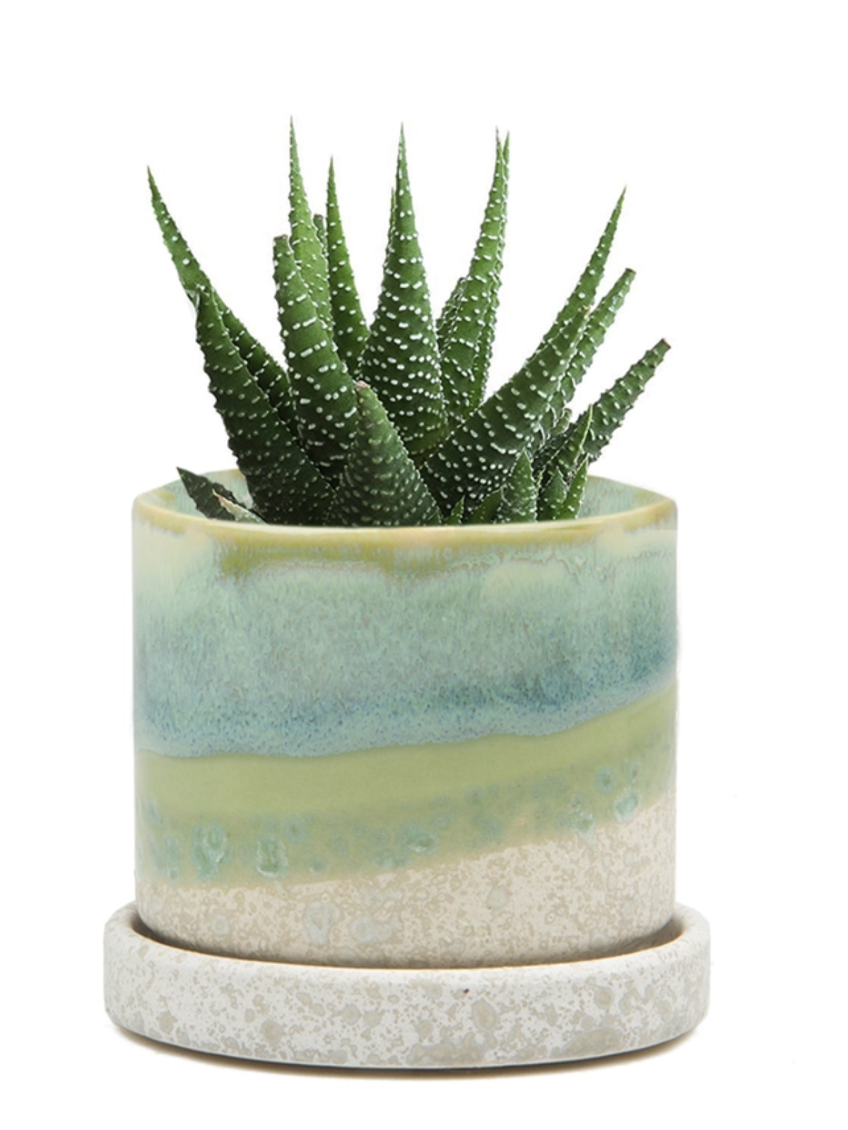Cement Green Ceramic Plant Pot and Saucer — Select Your Size
