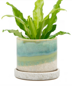 Cement Green Ceramic Plant Pot and Saucer — Select Your Size