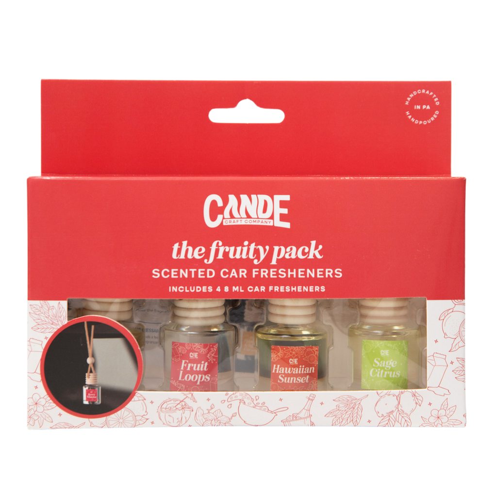 Fruity 4 Pack Scented Hanging Refillable Car Freshener Diffusers Bundle