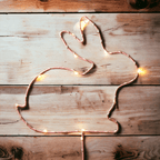 LED Light Up Spring & Easter Silhouette Decor — Select Your Color & Shape