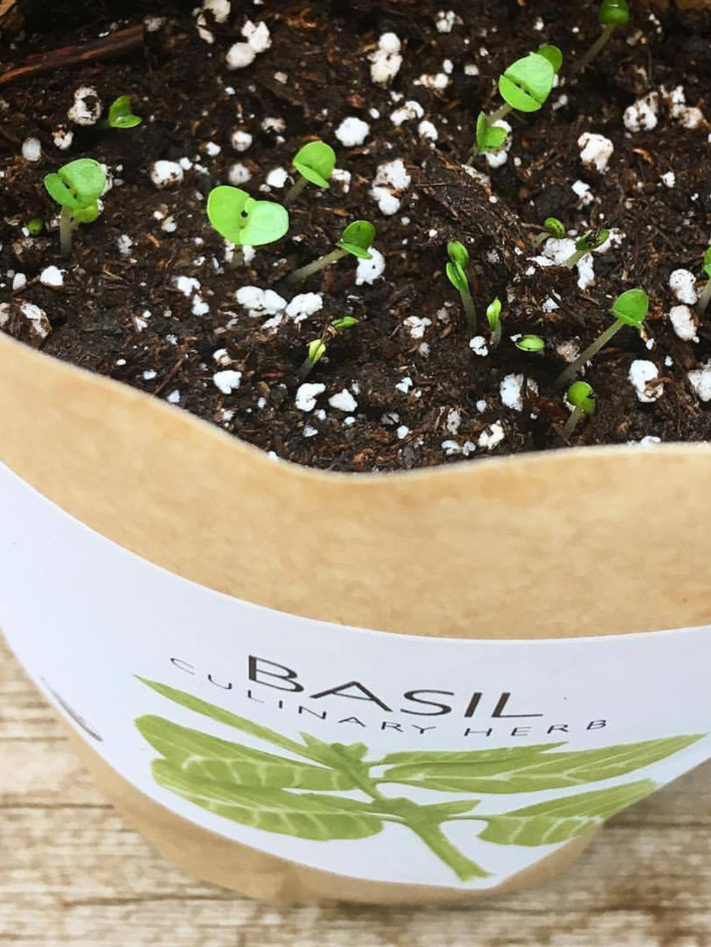 Garden in a Bag - Herbs — Select Your Herb