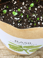 Garden in a Bag - Herbs — Select Your Herb