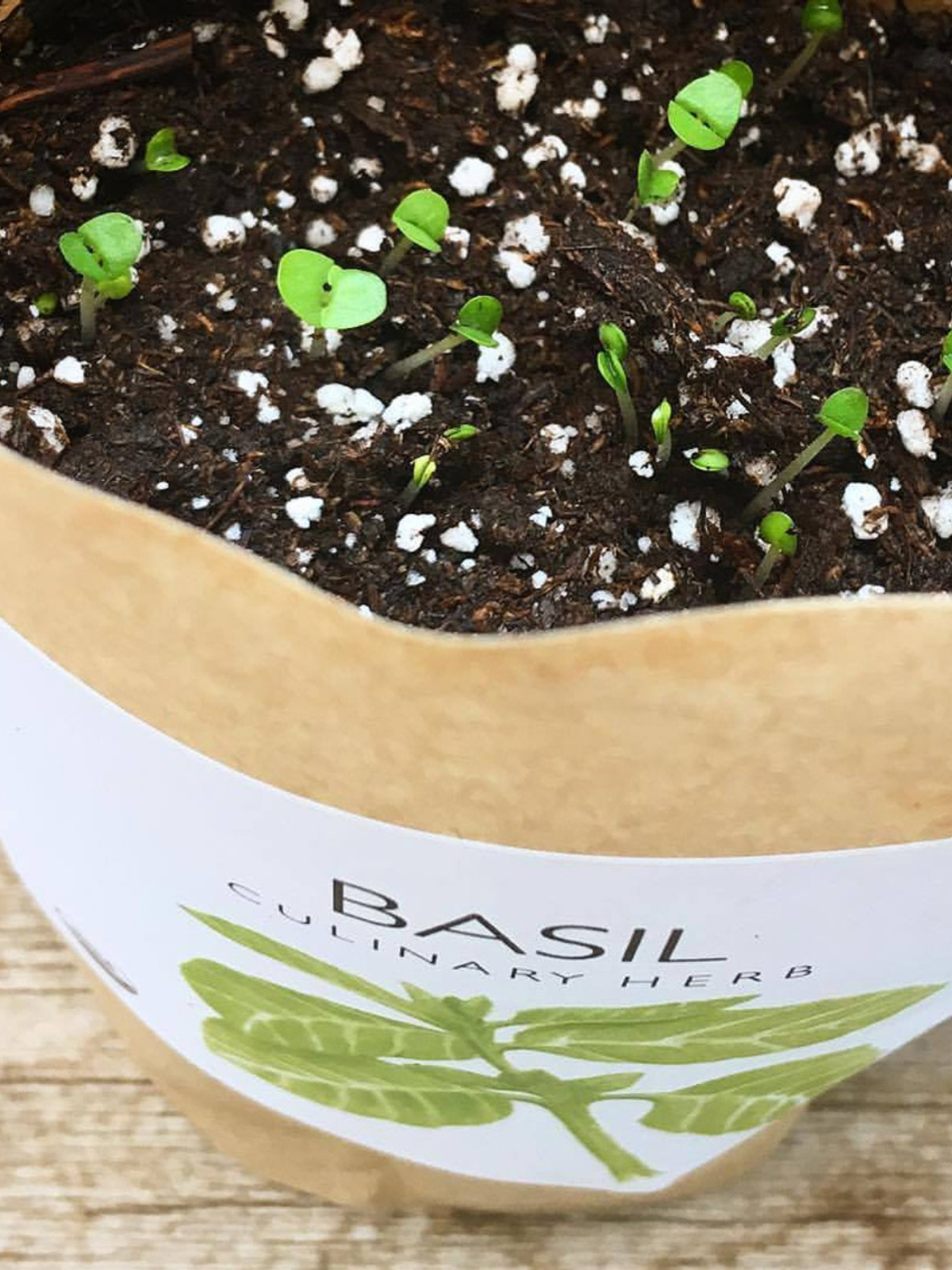 Garden in a Bag - Herbs — Select Your Herb