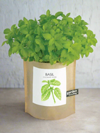 Garden in a Bag - Herbs — Select Your Herb