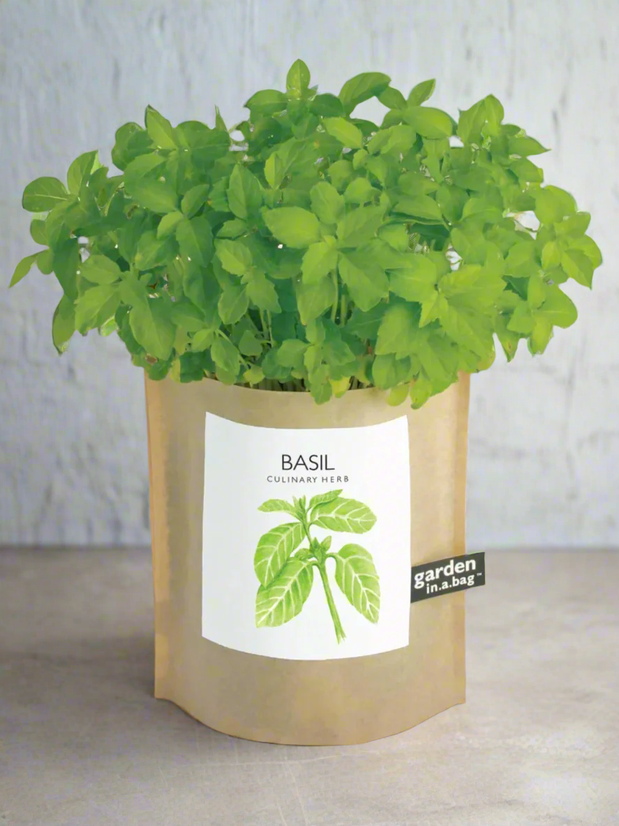 Garden in a Bag - Herbs — Select Your Herb