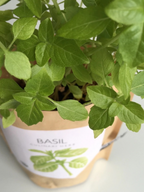 Garden in a Bag - Herbs — Select Your Herb