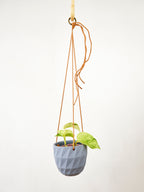 Virago Modern Hanging Planter - Grid — Select Your Color