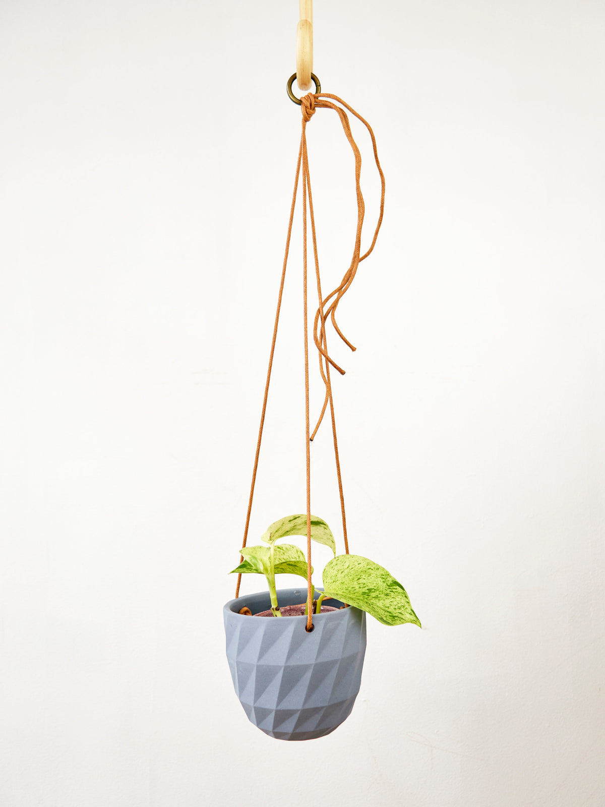 Virago Modern Hanging Planter - Grid — Select Your Color