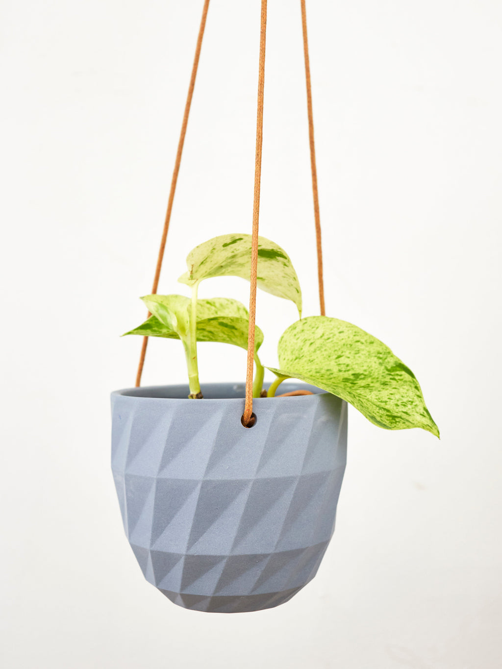 Virago Modern Hanging Planter - Grid — Select Your Color