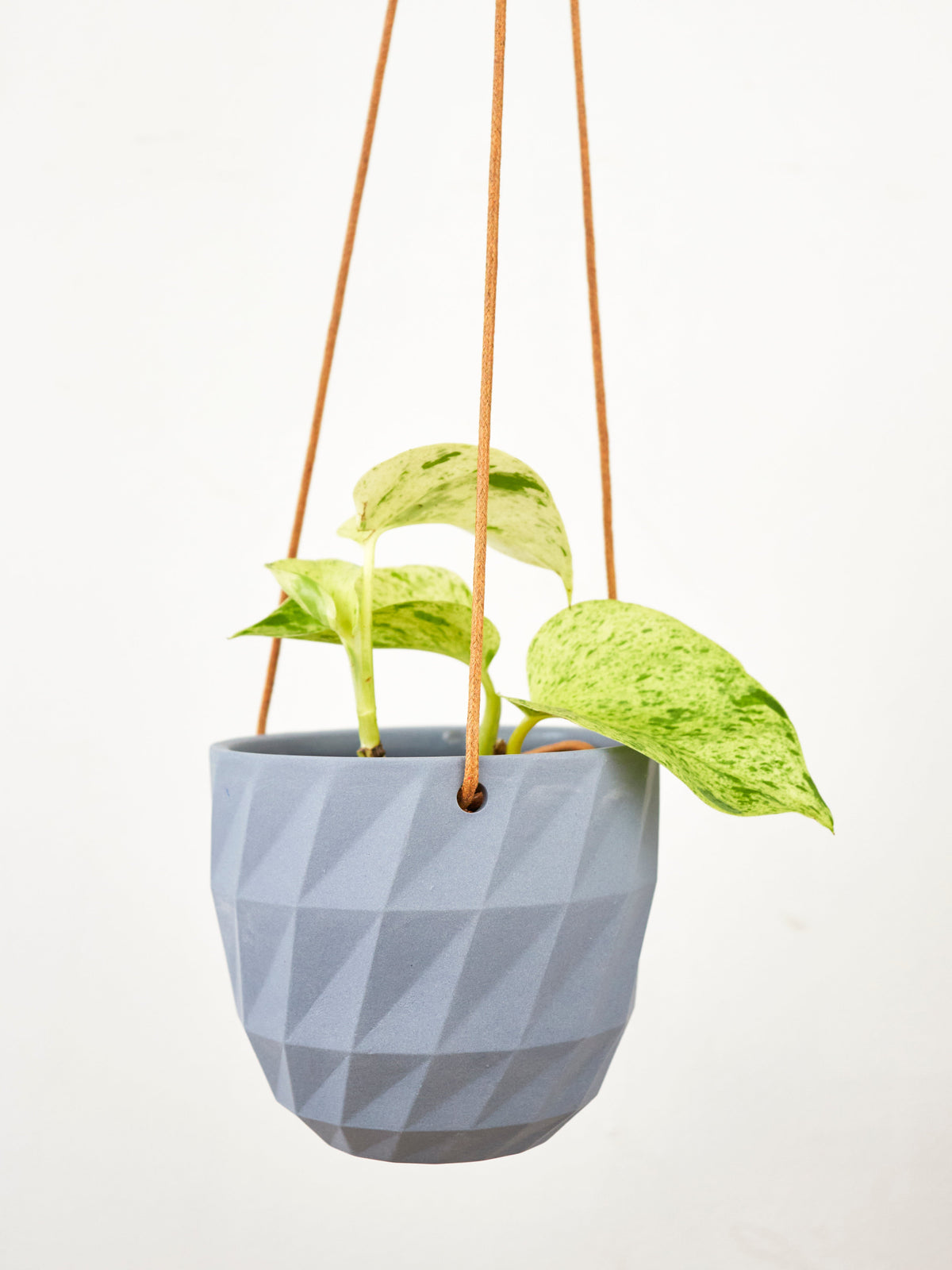 Virago Modern Hanging Planter - Grid — Select Your Color