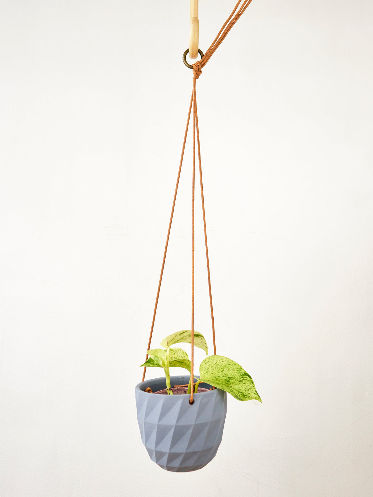 Virago Modern Hanging Planter - Grid — Select Your Color