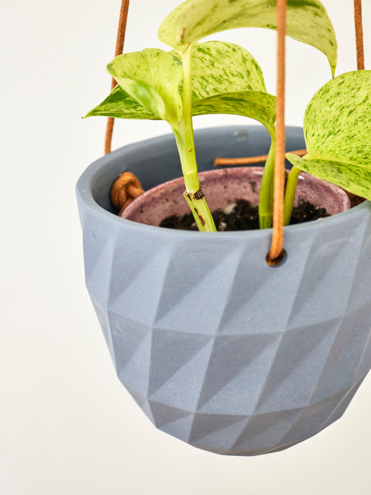 Virago Modern Hanging Planter - Grid — Select Your Color