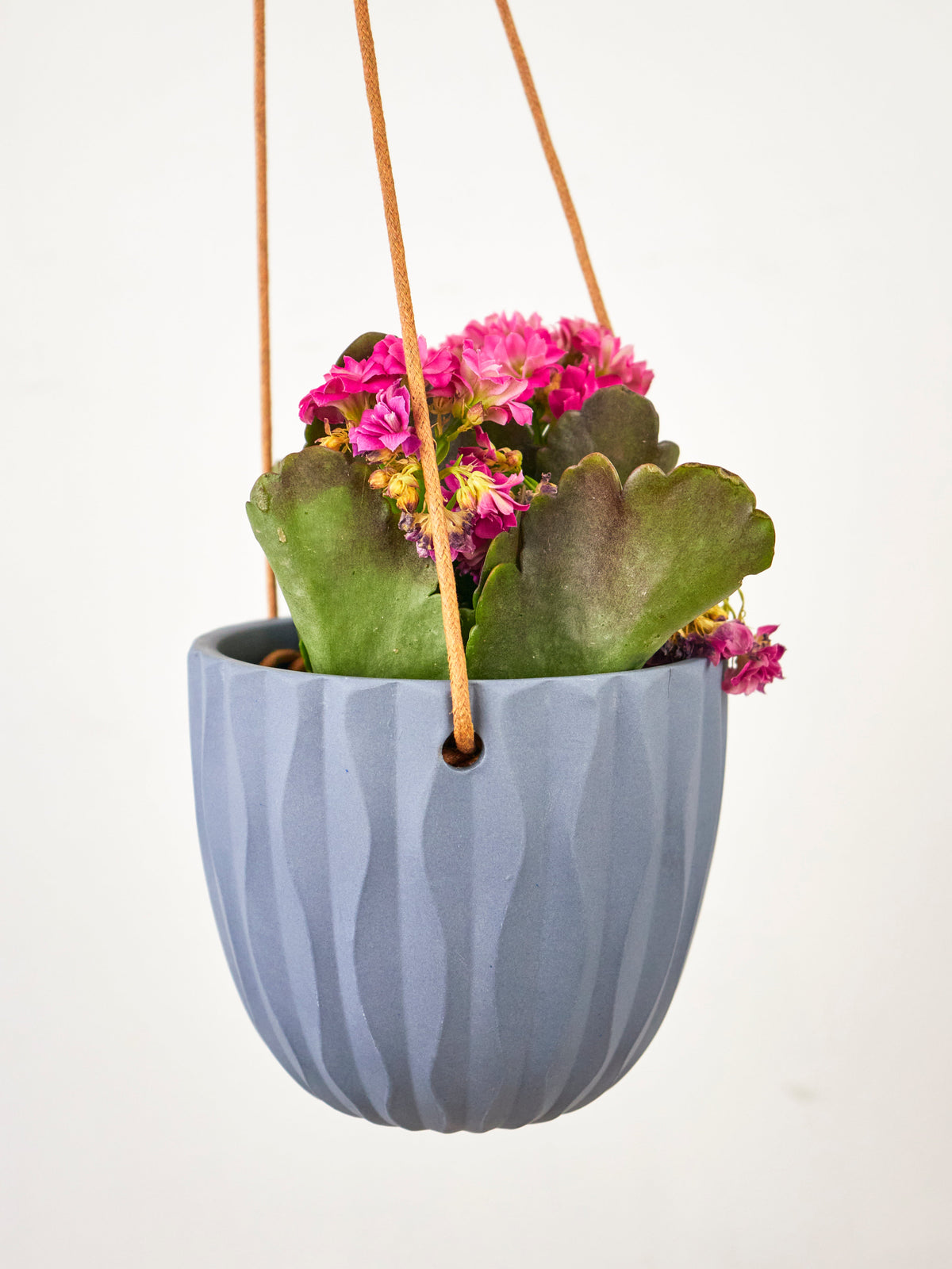 Virago Modern Hanging Planter - Waves — Select Your Color