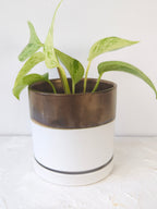 Bronze White Ceramic Plant Pot and Saucer — Select Your Size