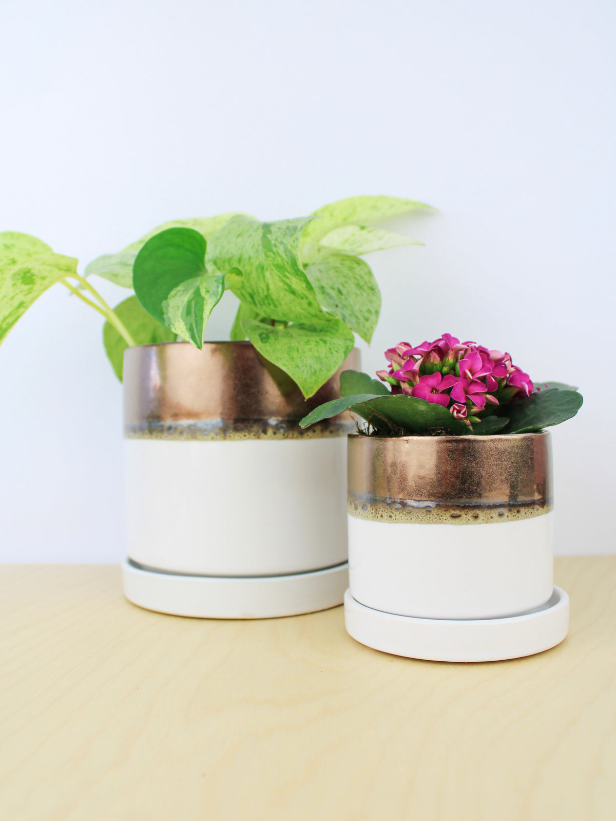Bronze White Ceramic Plant Pot and Saucer — Select Your Size