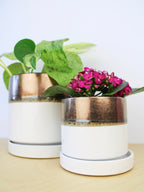 Bronze White Ceramic Plant Pot and Saucer — Select Your Size