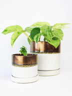 Bronze White Ceramic Plant Pot and Saucer — Select Your Size
