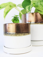 Bronze White Ceramic Plant Pot and Saucer — Select Your Size