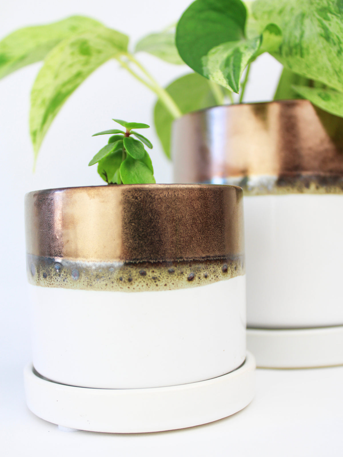 Bronze White Ceramic Plant Pot and Saucer — Select Your Size