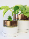 Bronze White Ceramic Plant Pot and Saucer — Select Your Size