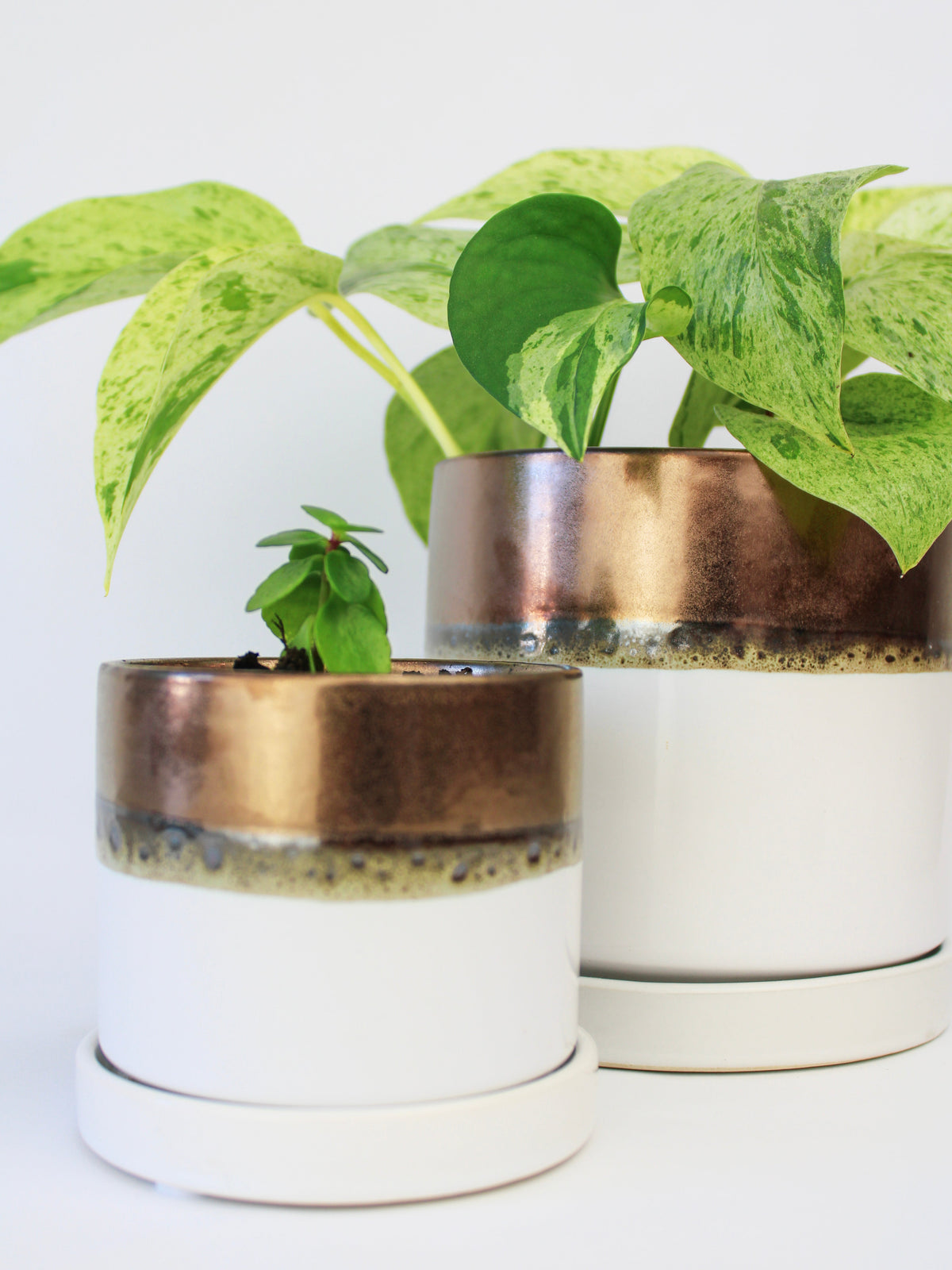 Bronze White Ceramic Plant Pot and Saucer — Select Your Size