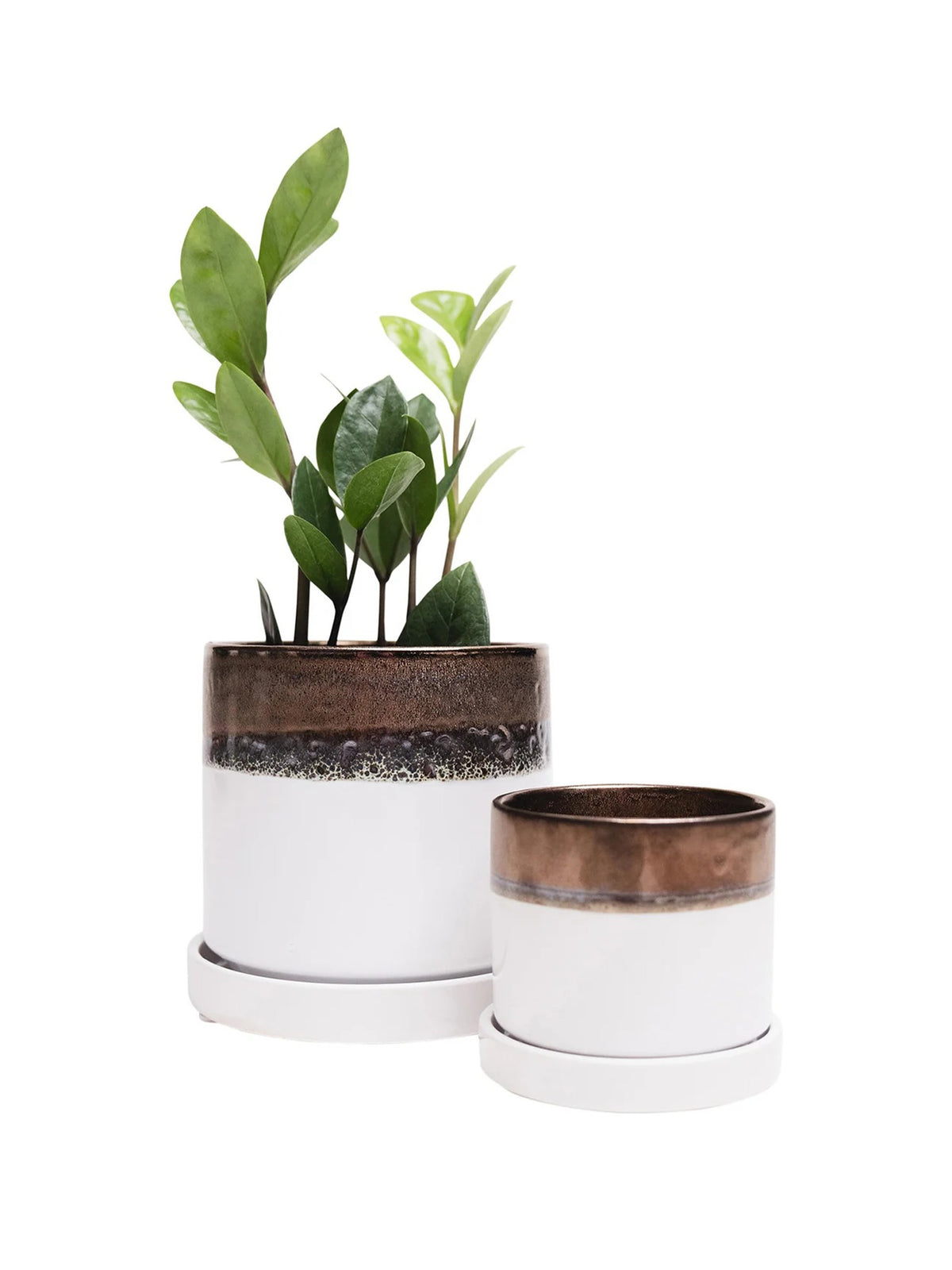 Bronze White Ceramic Plant Pot and Saucer — Select Your Size