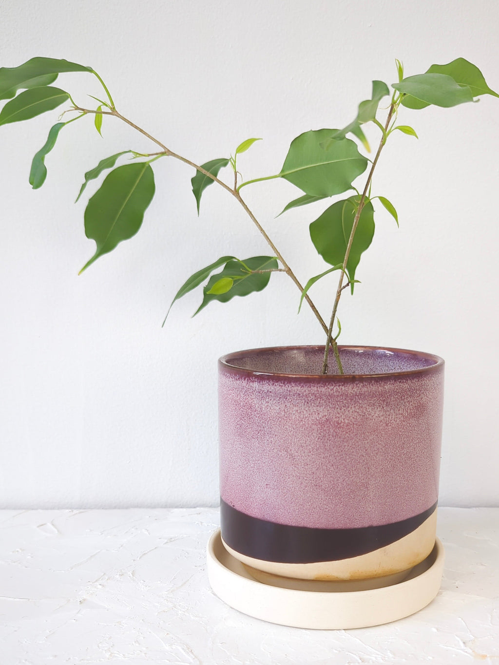Burgundy Ceramic Plant Pot and Saucer — Select Your Size
