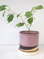 Burgundy Ceramic Plant Pot and Saucer — Select Your Size