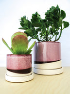 Burgundy Ceramic Plant Pot and Saucer — Select Your Size