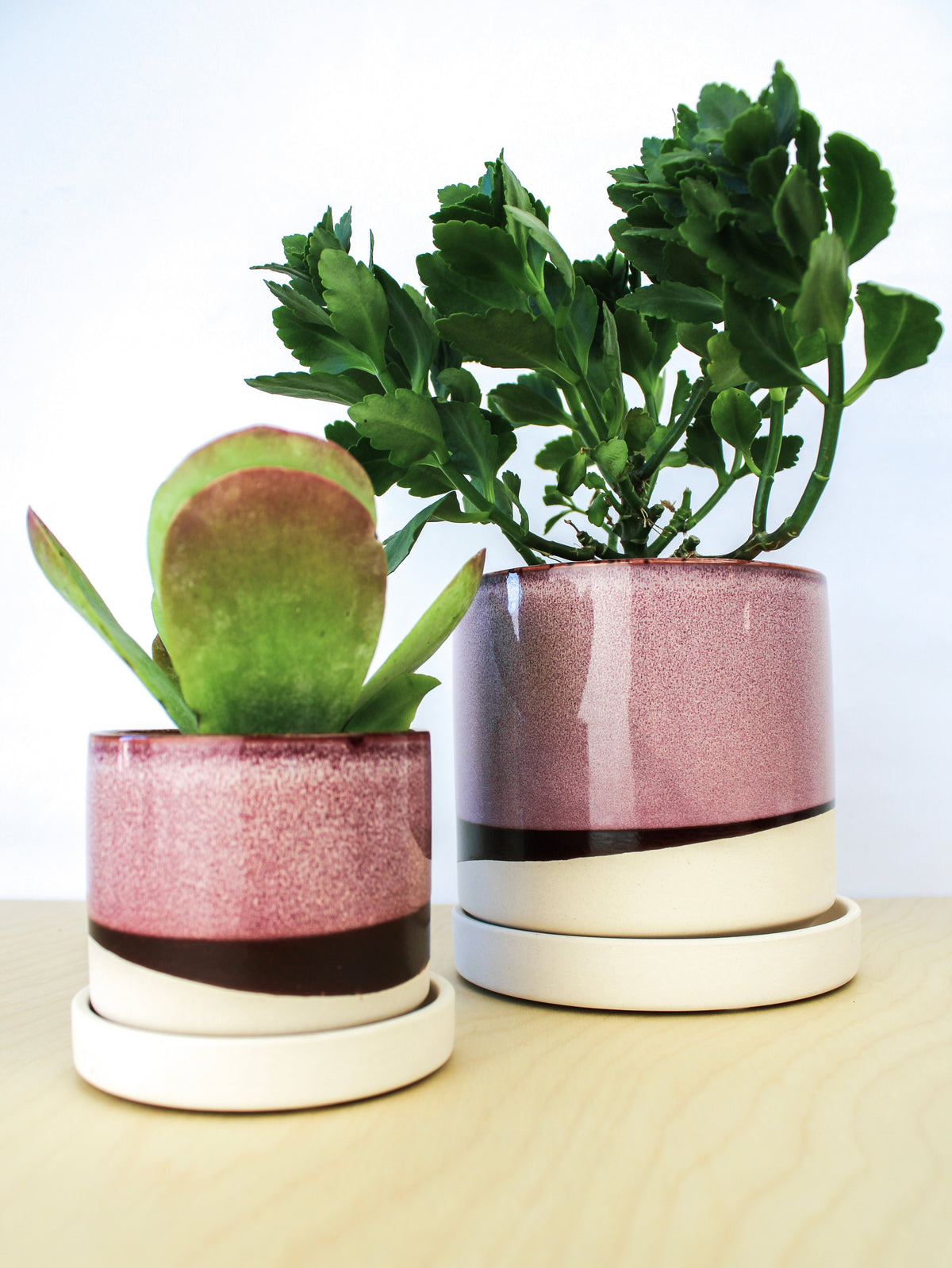 Burgundy Ceramic Plant Pot and Saucer — Select Your Size