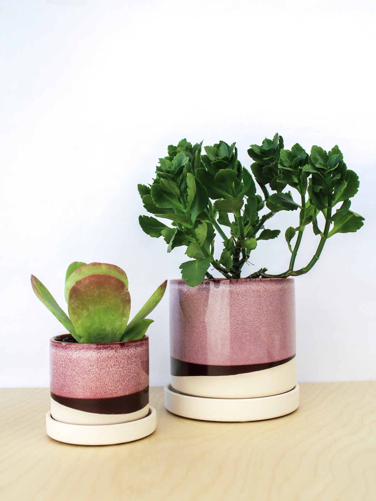 Burgundy Ceramic Plant Pot and Saucer — Select Your Size
