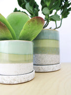 Cement Green Ceramic Plant Pot and Saucer — Select Your Size