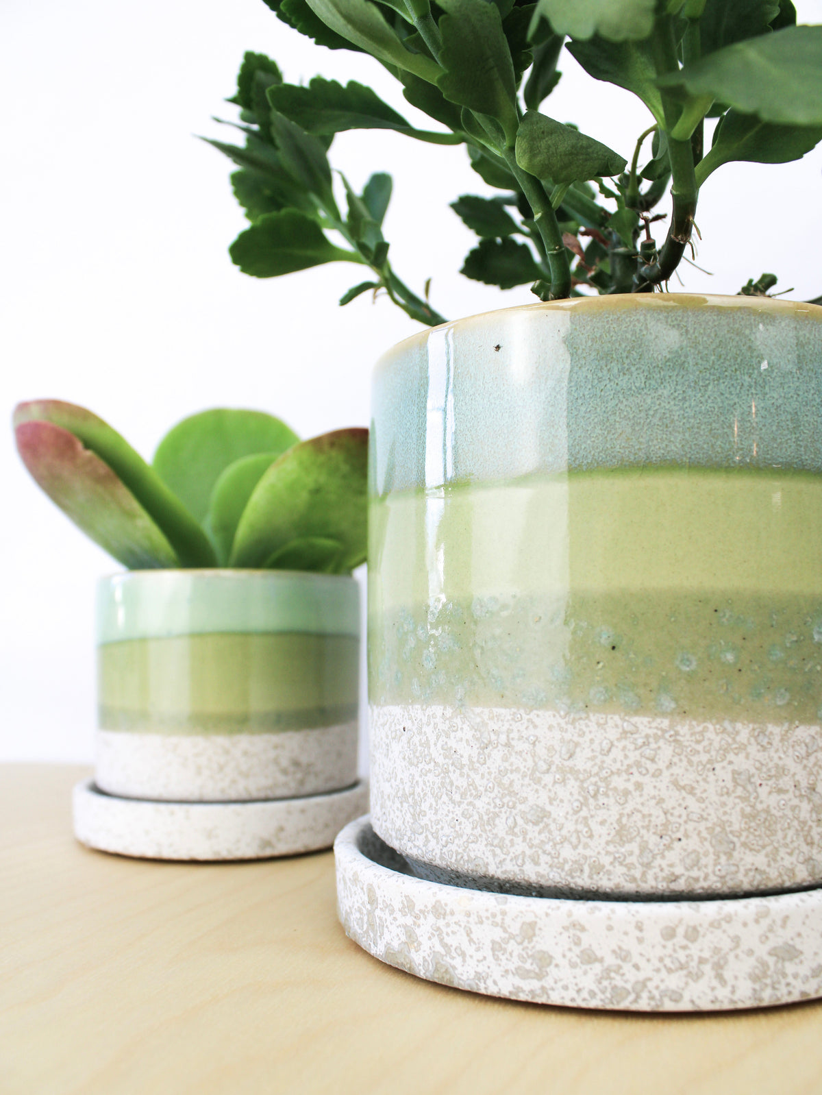 Cement Green Ceramic Plant Pot and Saucer — Select Your Size