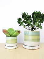Cement Green Ceramic Plant Pot and Saucer — Select Your Size
