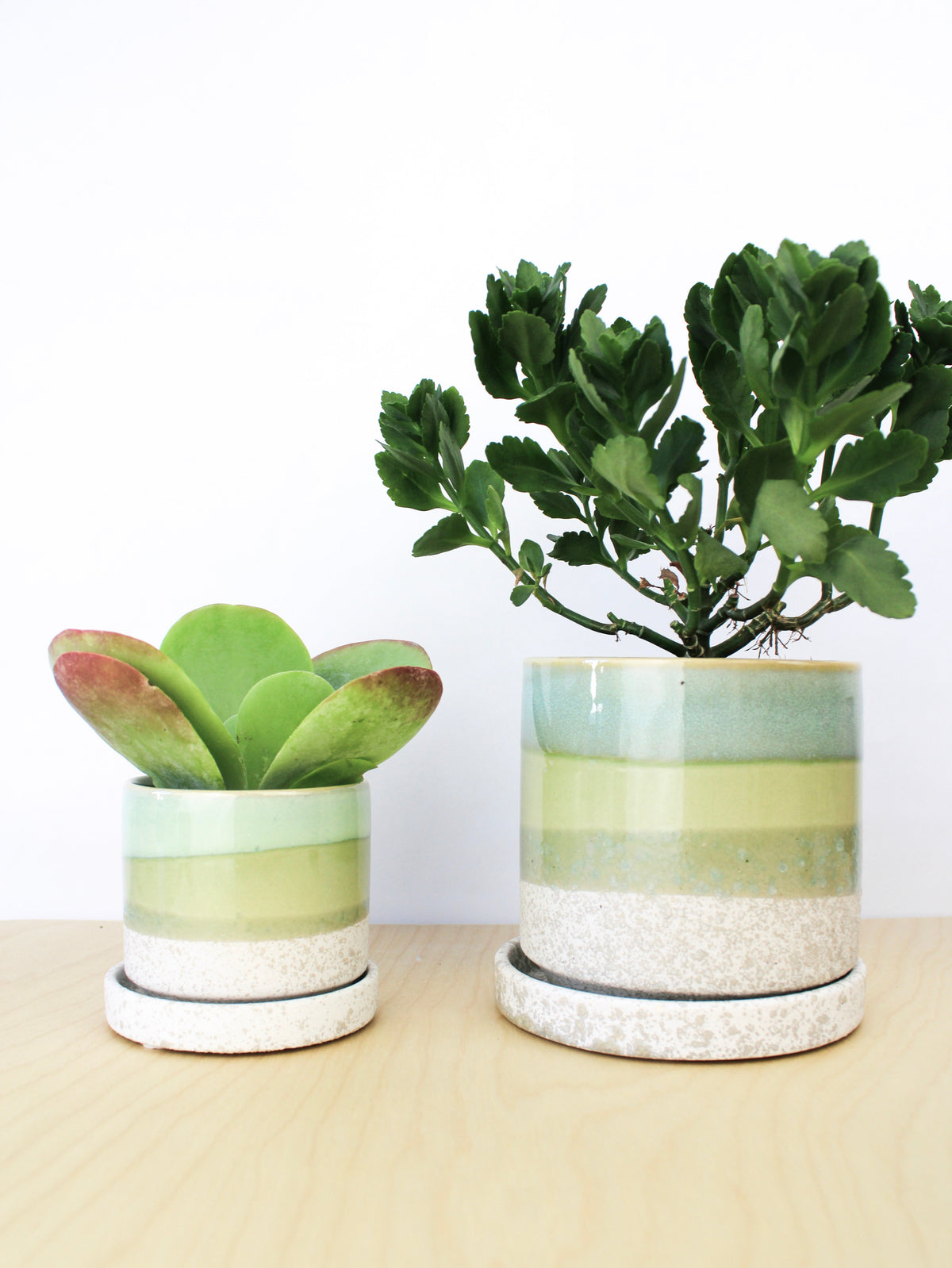 Cement Green Ceramic Plant Pot and Saucer — Select Your Size