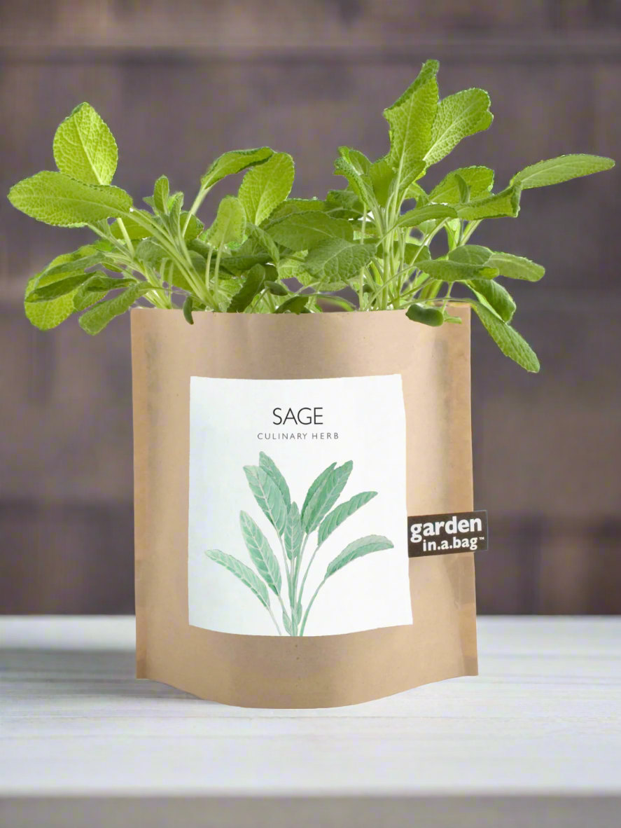 Garden in a Bag - Herbs — Select Your Herb
