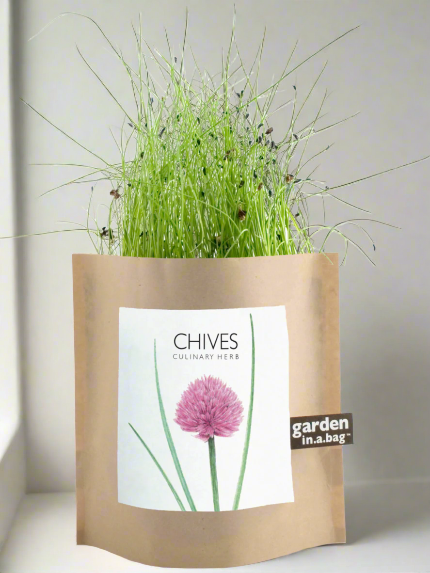 Garden in a Bag - Herbs — Select Your Herb